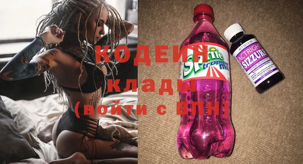 винт Лабытнанги
