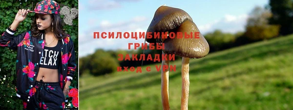 винт Лабытнанги
