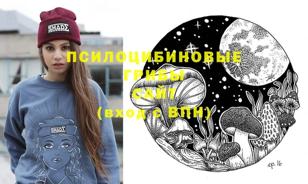 СК Ладушкин