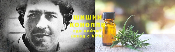 винт Лабытнанги