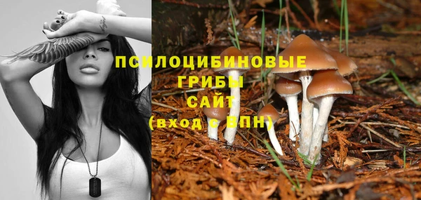 СК Ладушкин