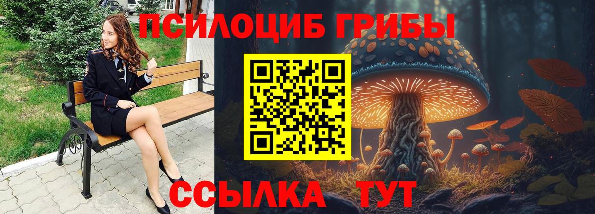 Псилоцибиновые грибы мухоморы  Вход с VPN  Шебекино 