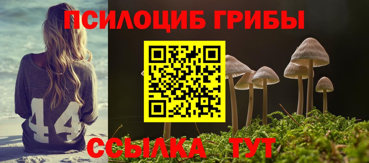 Галлюциногенные грибы Psilocybine cubensis  Шебекино 
